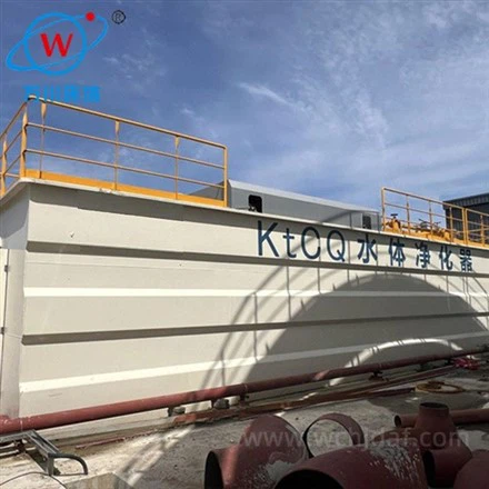 Quale impatto ha la forma del serbatoio sulle prestazioni della flottazione a...