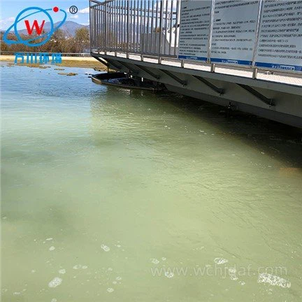 Flottazione ad aria disciolta pressurizzata